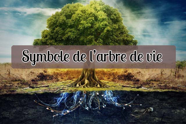 signification du symbole de l'arbre de vie