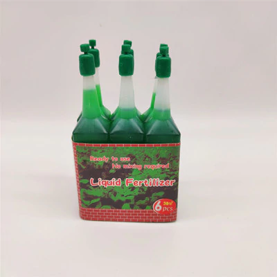 Mini plante vivante porte chance du Brésil avec figurine "bébé Groot"