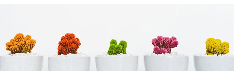 Décoration 7 Chakras - Chakra Muladhar - attrape rêves - 2 Modèles disponibles