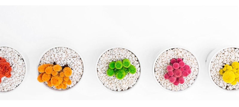 Décoration 7 Chakras - Chakra Muladhar - attrape rêves - 2 Modèles disponibles