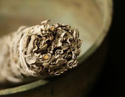 Sage blanco deja puro perfume ahumado purificación de la casa de fumadores